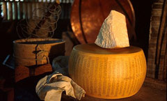 parmigiano reggiano